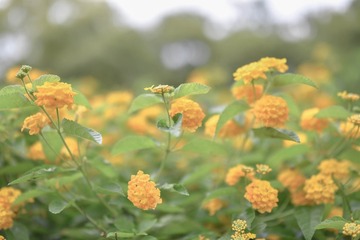 D7754525-2E36-49CE-B639-FBC7931A3AA3/L0/001