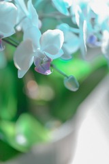 1E2B4B89-B3B1-4B39-AB32-34277D5C79D7/L0/001