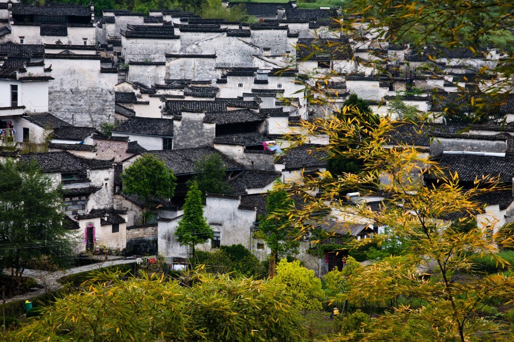 寻梦