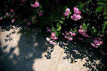 20080730143623_imgp2258
