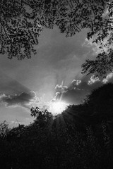 R0010605-Edit