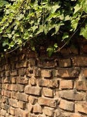 S0505056