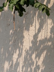 S0565063
