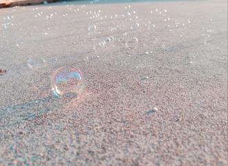 338492