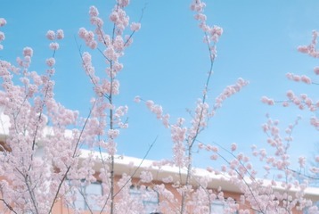 FD6FD08E-4CCD-46E8-AF29-F1F9985B8D51/L0/001