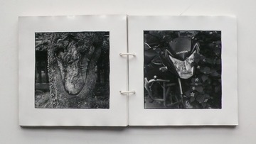 P1110116