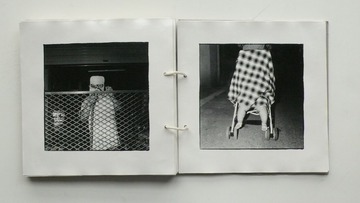P1110132