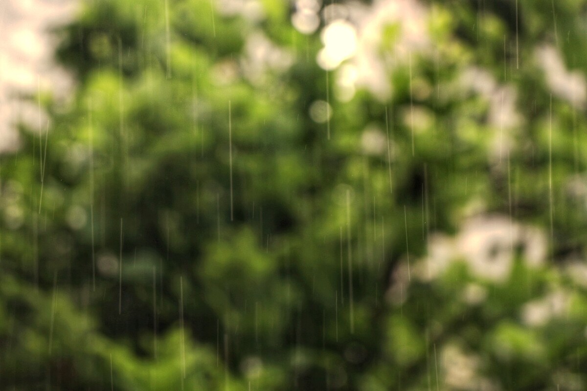 台风来临之际的早晨，淅淅沥沥的雨水唤醒梦中人