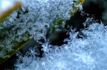 345F8218-D554-4420-BB6E-5C224CA16293/L0/001