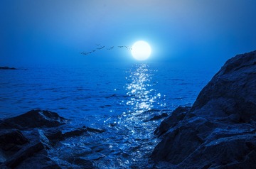 月明此夜