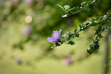 A5672F50-9C9E-4DCB-80D7-CD714A862C22/L0/001