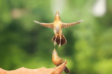 C89B9472-D764-47DF-BB37-860805F9BEE4/L0/001