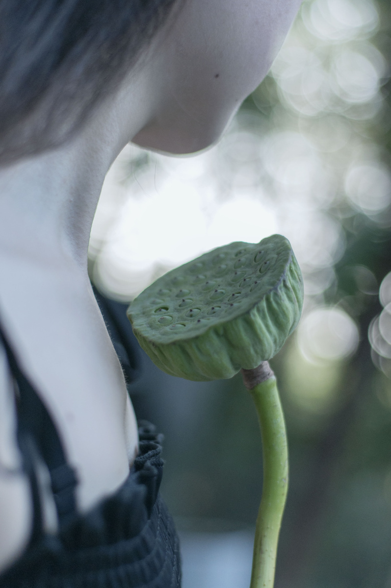 夏末,女孩与莲蓬