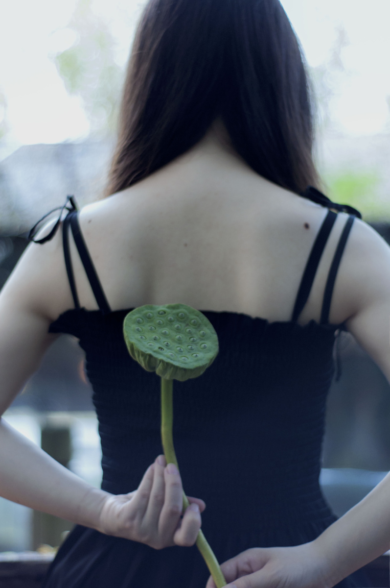 夏末,女孩与莲蓬