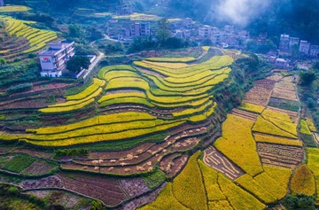 DJI_0023