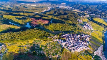 DJI_0078