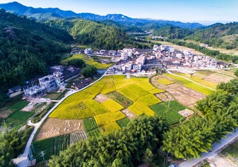 DJI_0057