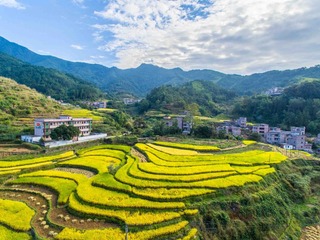 DJI_0043-HDR