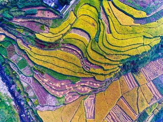 DJI_0033