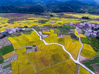 DJI_0053-1