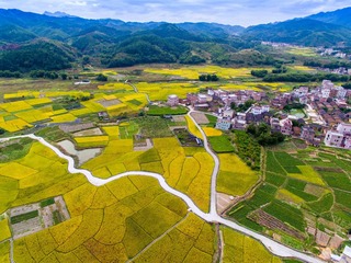 DJI_0057-1