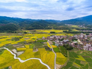 DJI_0052-1