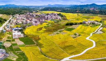 DJI_0056-Pano