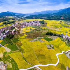 DJI_0047-Pano