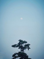 68BA3938-E616-4245-AD7C-164B238DB07F/L0/001