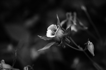 SDIM2349