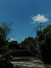 1456329