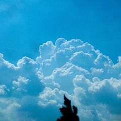 EB2AC717-8258-4D8C-9D31-7A556AAF0443/L0/001