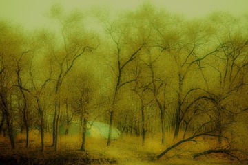0CC_0004