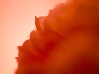 3207728