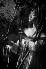 DSC03716-1