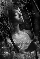 DSC03718-1