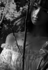 DSC03720-1