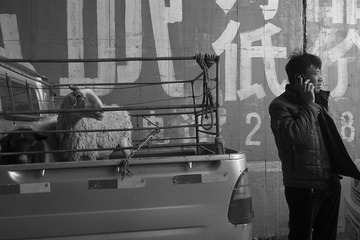 _DSC0713