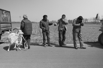 _DSC0966