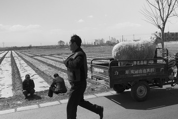 _DSC0980