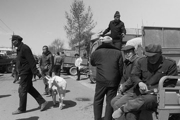 _DSC1006