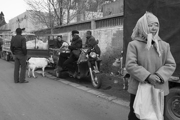_DSC0490