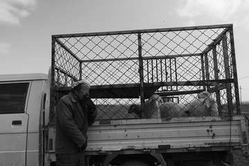 _DSC0550