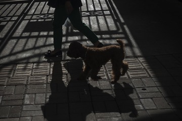 _DSC9155