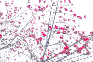 DP3M0018