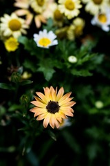 83F7BCD2-E460-4986-BC30-D22607C4BDBC/L0/001
