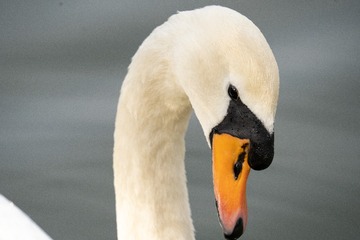 9C39D2F1-0BB2-4D73-8349-4122C1A78AD3/L0/001
