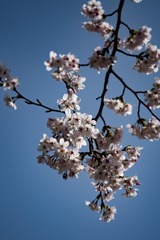 7BD9625C-A062-4540-9532-D911029305EF/L0/001