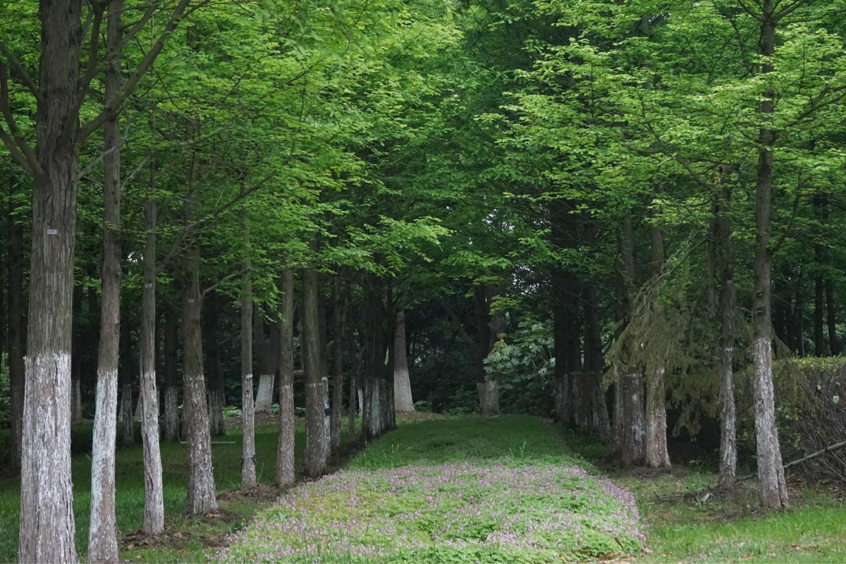 索尼阿尔法7 - 图虫摄影网