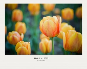WP7A3468